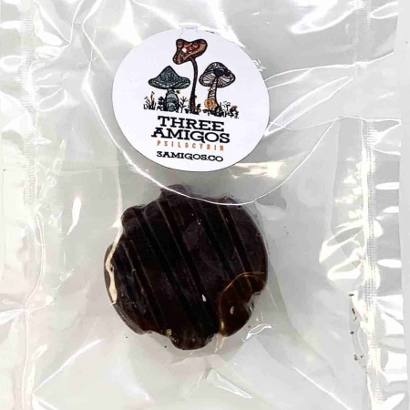 Mini Organic Chocolate Magic Mushroom Bites