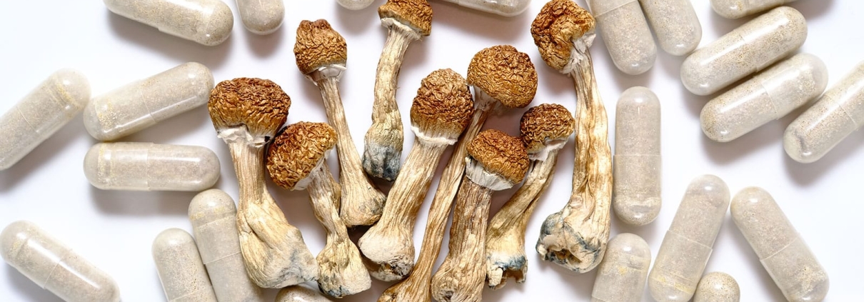 psychedelic shrooms
